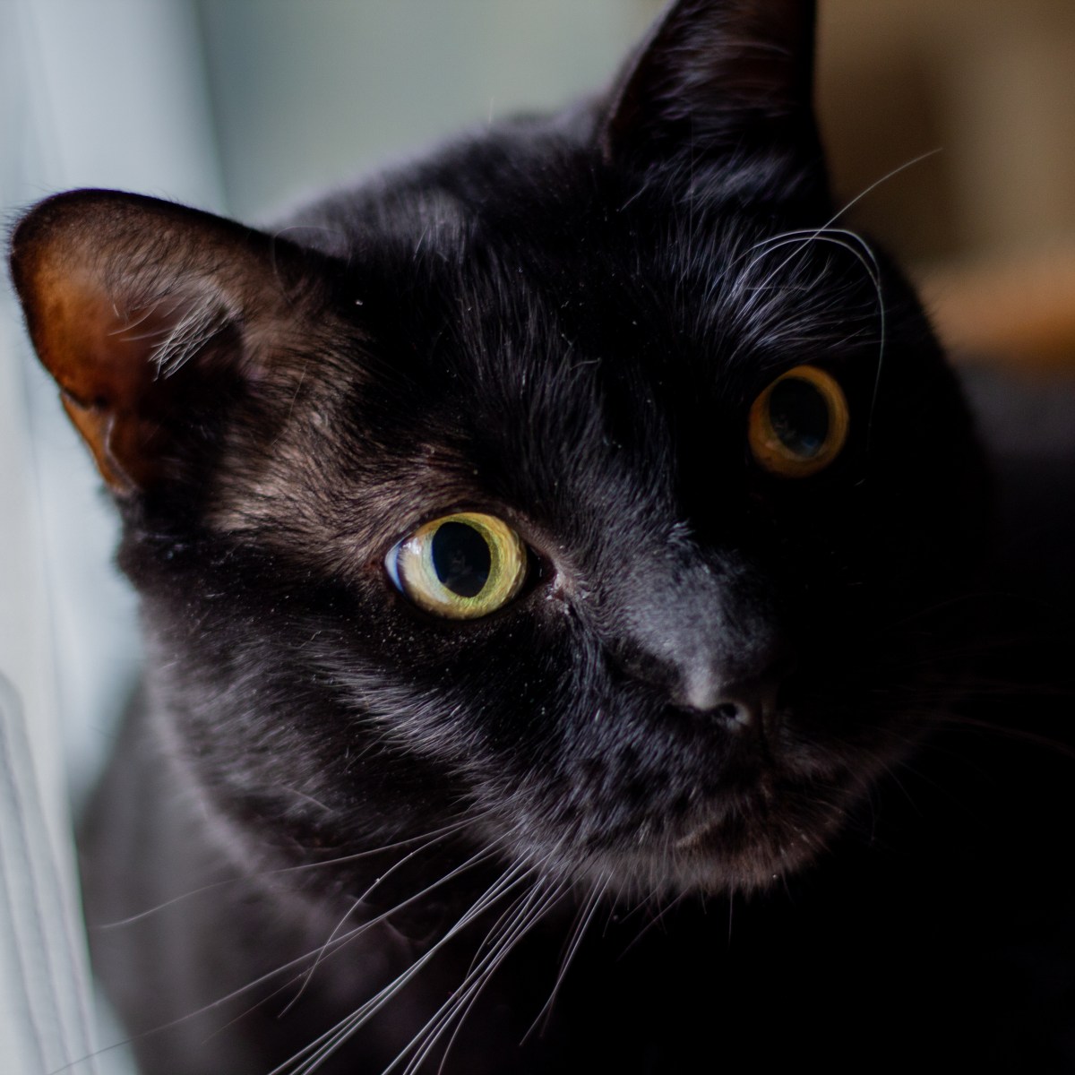 Photography 101 Prompts