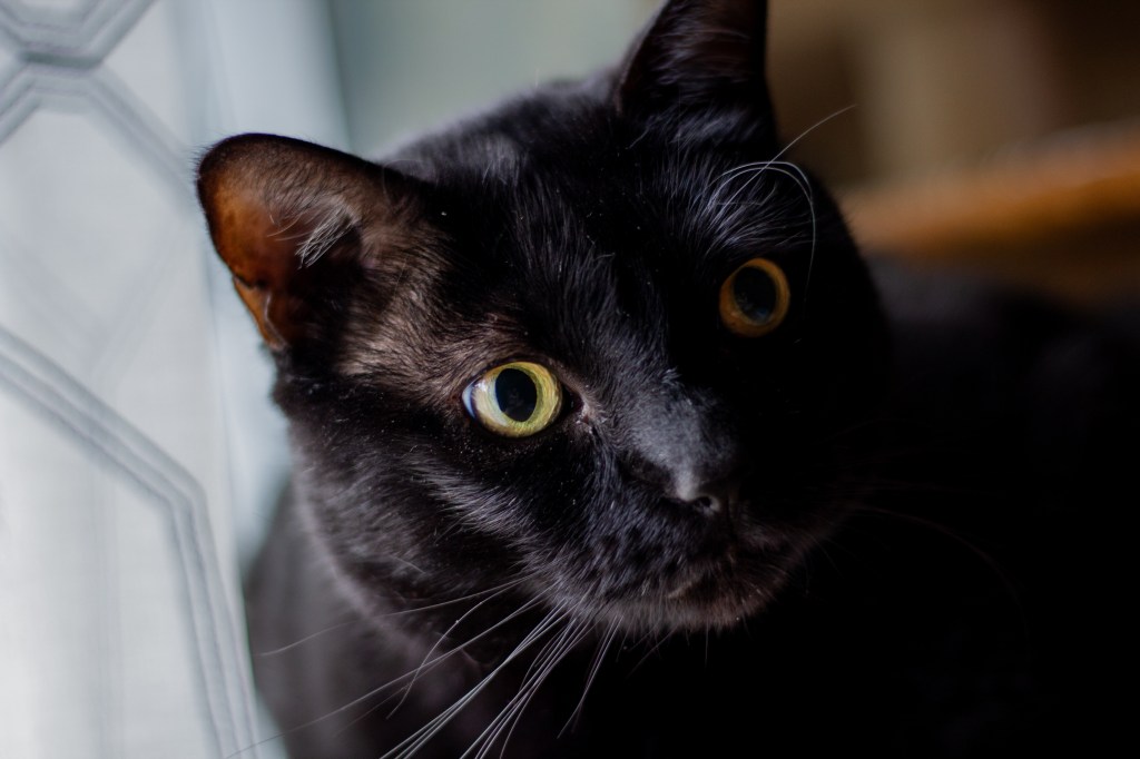 Photography 101 Prompts